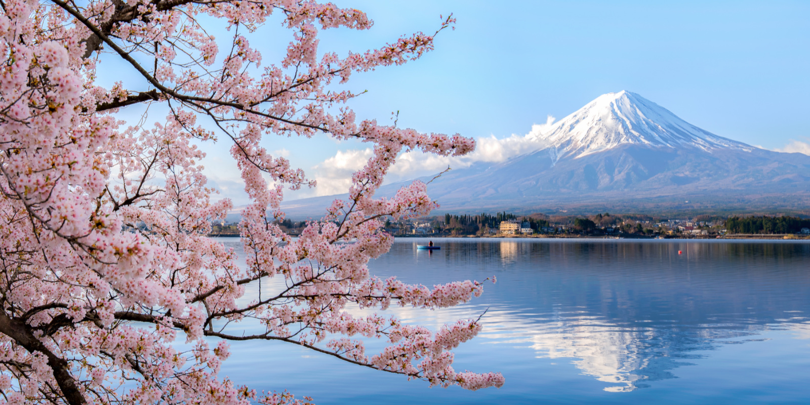 タスヒール・ジャパン