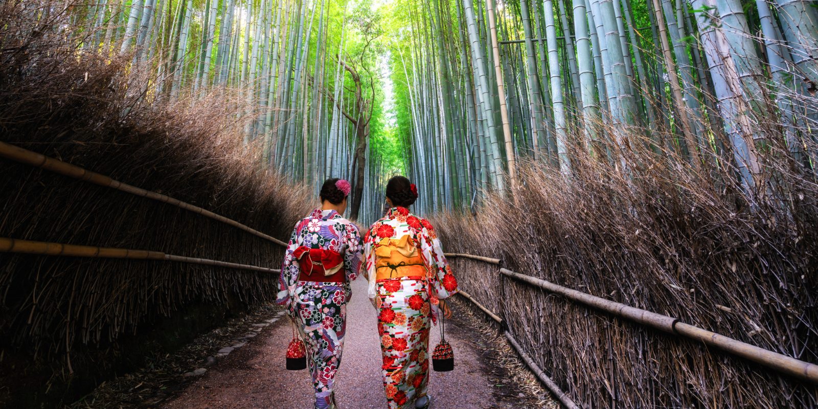 タスヒール・ジャパン